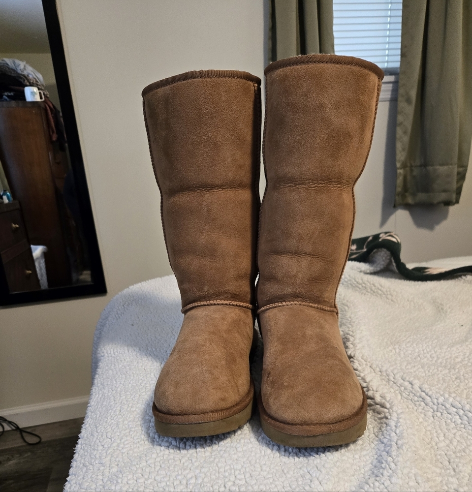 BNWOT/ Classic Tall UGGs